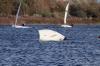 WOSC 2021_10_31 0103